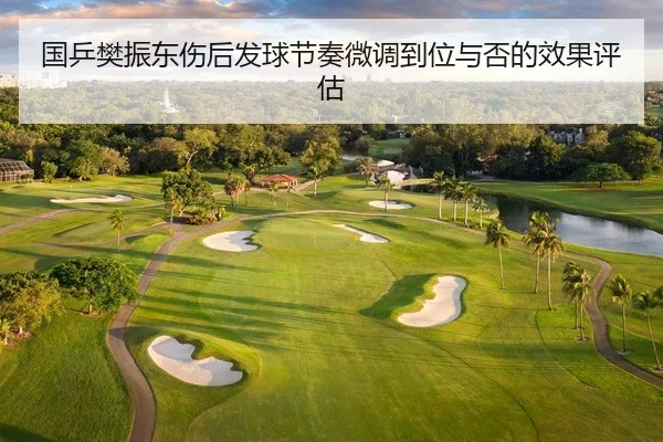 国乒樊振东伤后发球节奏微调到位与否的效果评估